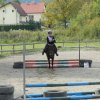 Babie Lato 2016